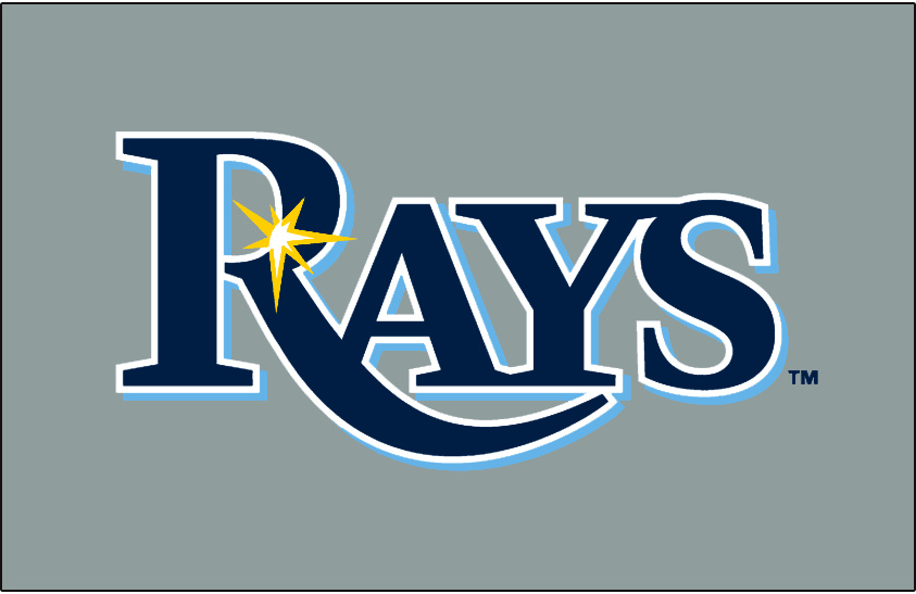 Tampa Bay Rays 2008-Pres Jersey Logo fabric transfer